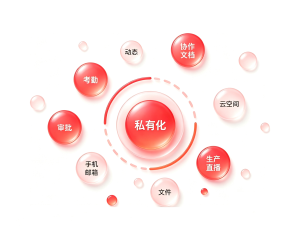 全功能私有化示意图